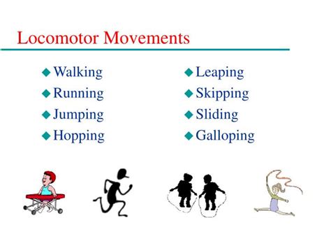 10 examples of locomotor movements.